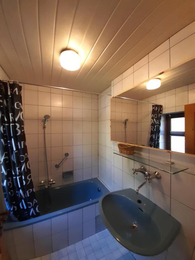 Miniponyhof Biohof Almbauer Lejlighed Waidhofen an der Ybbs Eksteriør billede